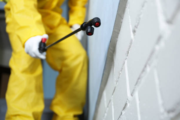 Best Fumigation Services  in Pierre, SD